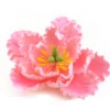 CM Zuckerblumen Peony Pink - Pfingstrose 11,4cm