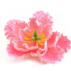 CM Zuckerblumen Peony Pink - Pfingstrose 11,4cm