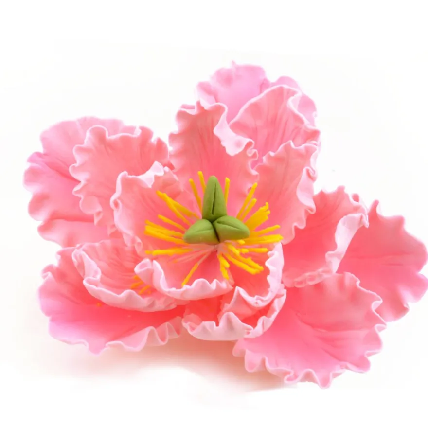 CM Zuckerblumen Peony Pink - Pfingstrose 11,4cm