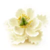 CM Zuckerblumen Peony White - Pfingstrose weiß 11,4cm
