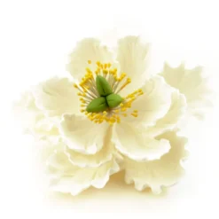 CM Zuckerblumen Peony White - Pfingstrose weiß 11,4cm