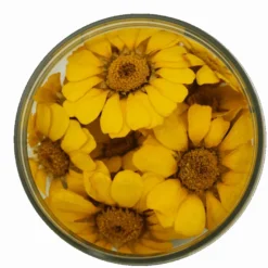 Essbare Blumen - getrocknete gelbe Margeriten - 15 Stück