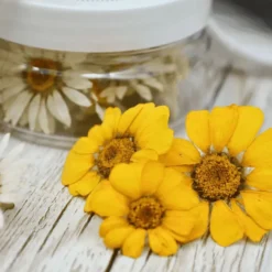 Essbare Blumen - getrocknete gelbe Margeriten - 15 Stück