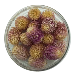 Essbare Blumen Kugelamarant getrocknet - Rosa