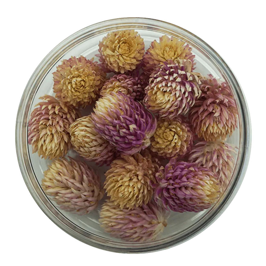 Essbare Blumen Kugelamarant getrocknet - Rosa