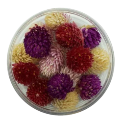 Essbare Blumen Kugelamarant getrocknet - Farbenmix