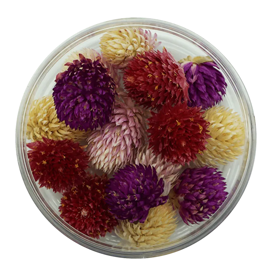 Essbare Blumen Kugelamarant getrocknet - Farbenmix