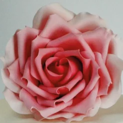 FMM Large Rose Petal Cutter Set 3tlg
