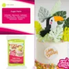 FunCakes Fondant Lime Green - 250g