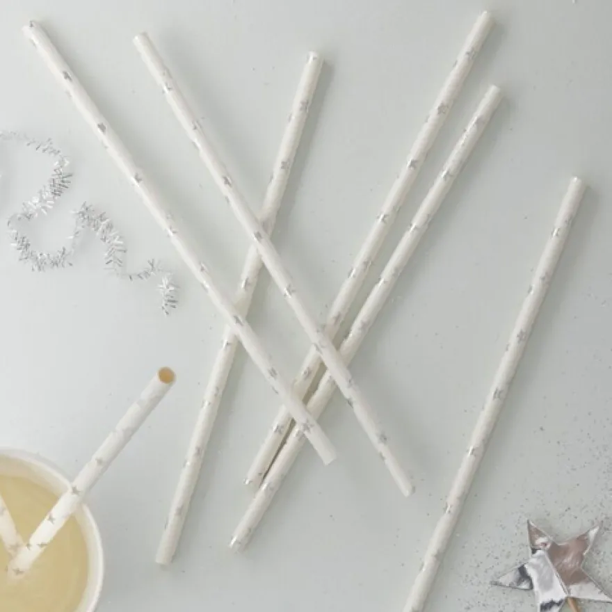 Ginger Ray Paper Straws - Strohhalm Silver Stars