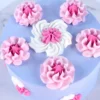 Jem Spritztüllen Set - Cupcake Collection #16T, #1M, #1F