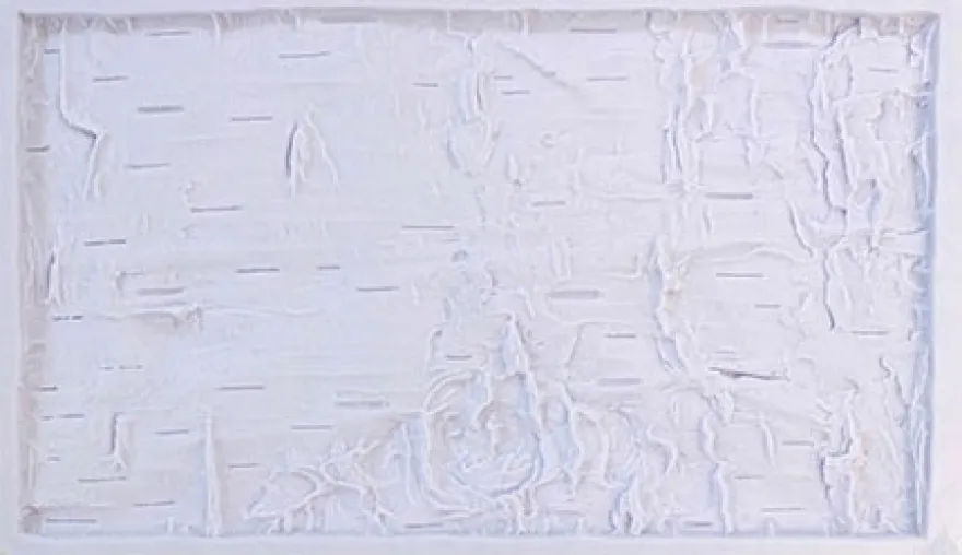 Karen Davies Silikonform Rustic Birch by Alice
