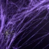 Partydeco Halloween -Spinnennetz Lila 60g