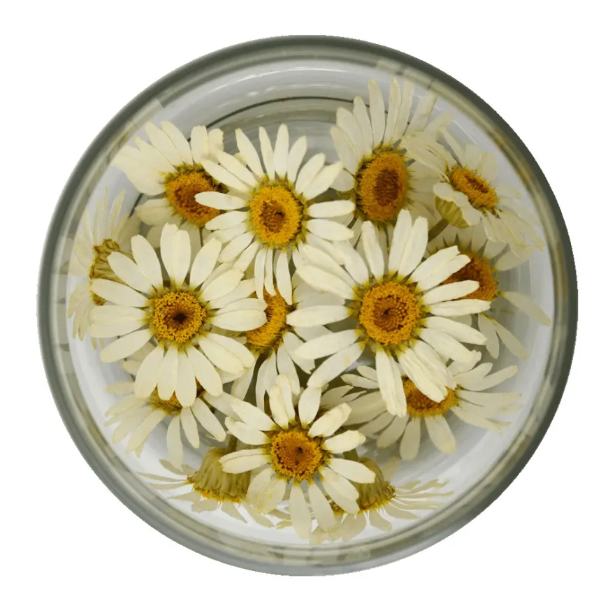 Rosie Rose Gänseblümchen – Essbare Blüten 15 Stück