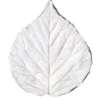 SK Blatt- Veiner Brombeere Mini Set/3