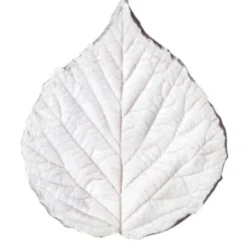 SK Blatt- Veiner Brombeere Mini Set/3