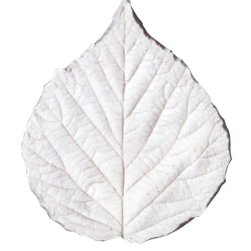 SK Blatt- Veiner Brombeere Mini Set/3