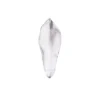 SK- GI Blütenblatt Veiner - Magnolie Narrow 10cm
