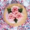 Sugar and Crumbs Nifty Nozzle - Spring Tulip