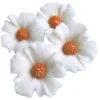 Zuckerblumen Kornblume 4 Stück - Weiss