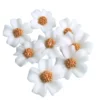 Zuckerblumen Vergissmeinnicht 8 Stück - Weiss / Gold
