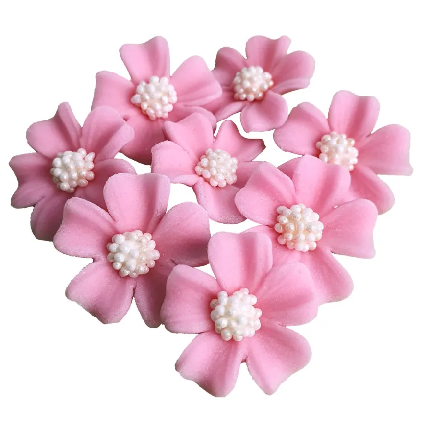 Zuckerblumen Vergissmeinnicht 8 Stück - Rosa
