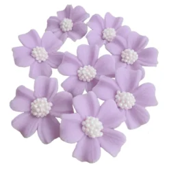 Zuckerblumen Vergissmeinnicht 8 Stück - Lavendel