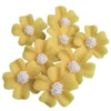 Zuckerblumen Vergissmeinnicht 8 Stück - Gelb