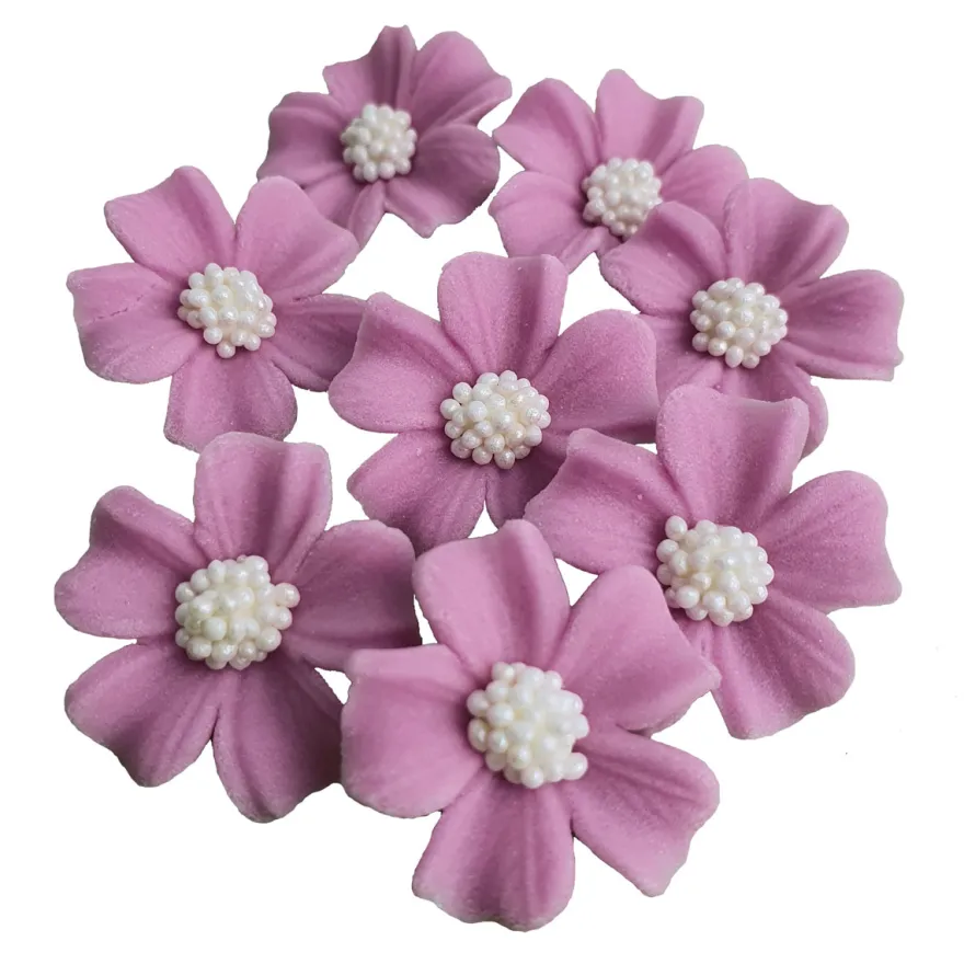 Zuckerblumen Vergissmeinnicht 8 Stück - Flieder