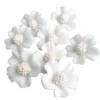 Zuckerblumen Vergissmeinnicht 8 Stück - Weiss / Weiss