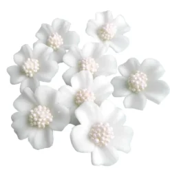 Zuckerblumen Vergissmeinnicht 8 Stück - Weiss / Weiss